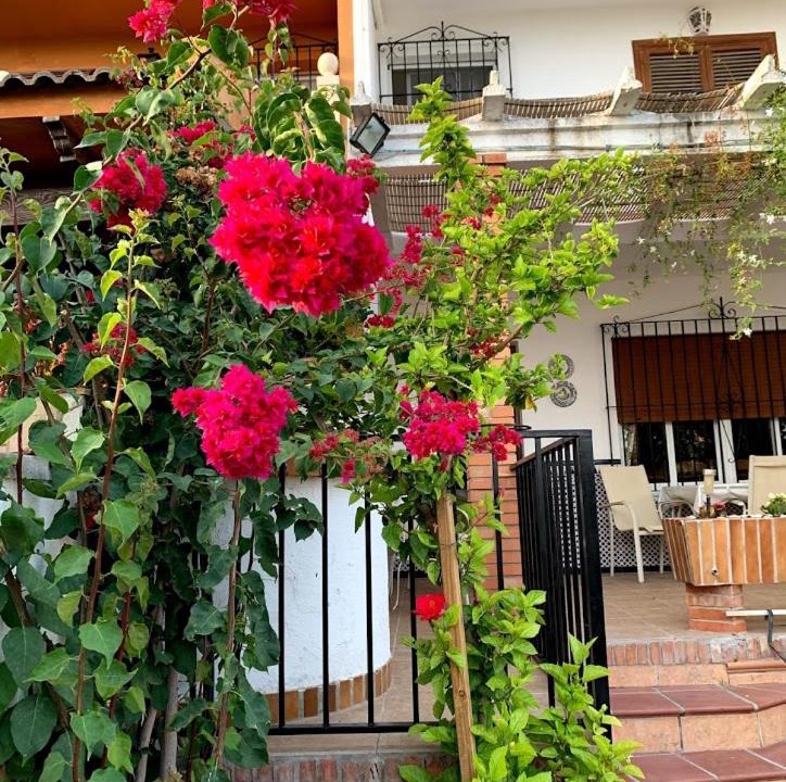 Photo of Buildings in Campanillas
