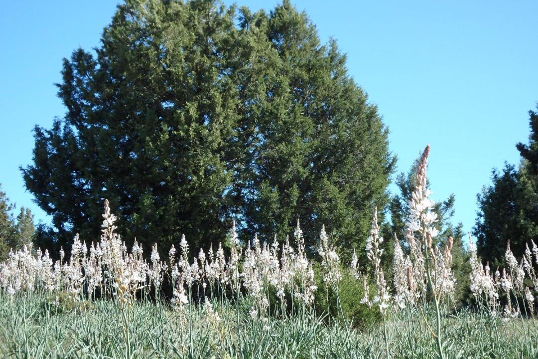 Photo of Outdoor in Arcos de Jalon