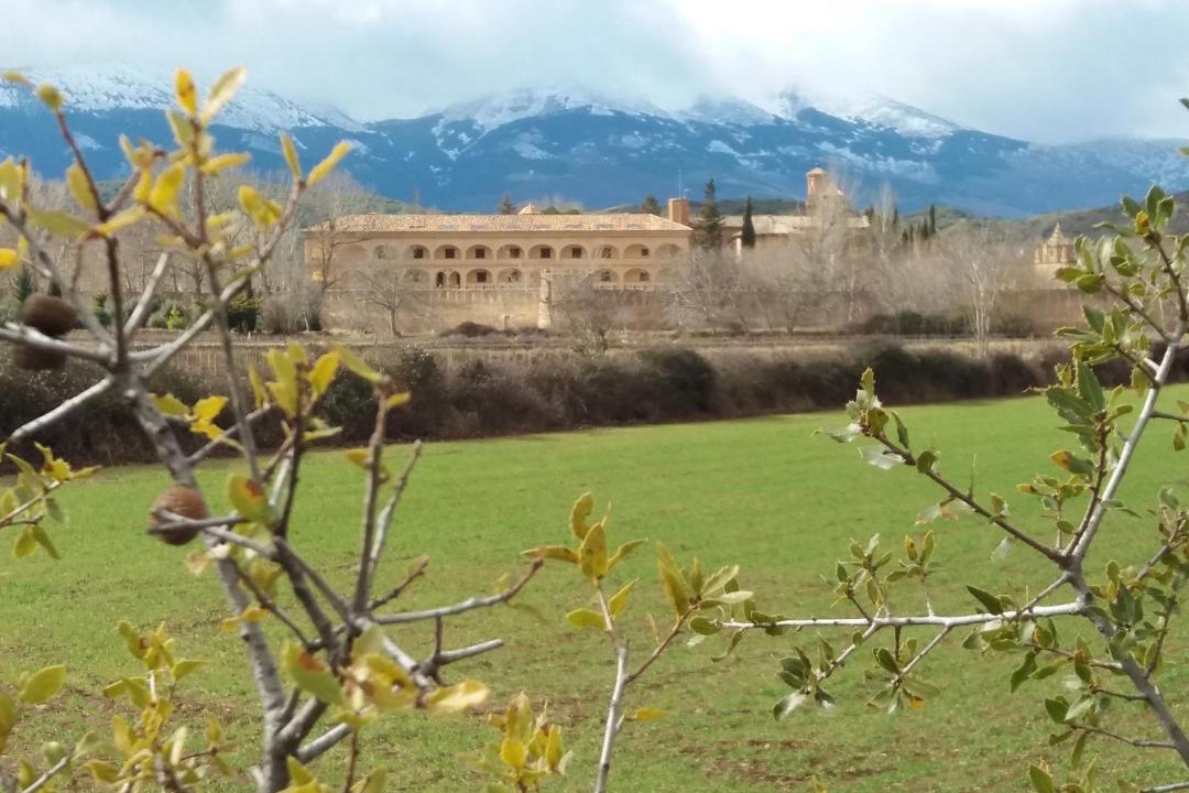 Photo of Others in Vera de Moncayo
