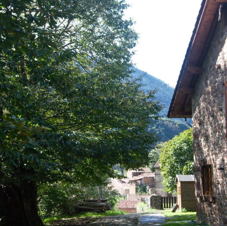 Photo of Others in Penarrubia