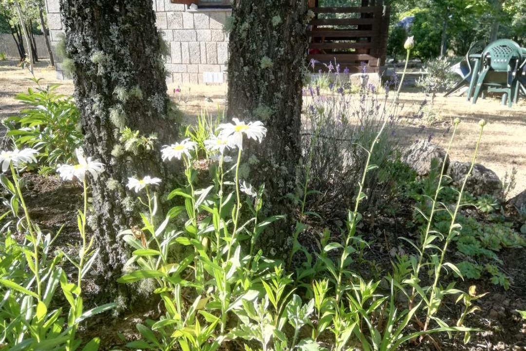 Photo of Outdoor in Manzanal de los Infantes