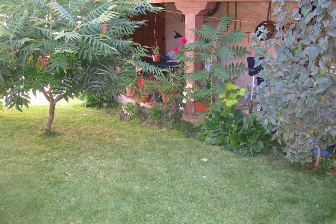 Photo of Others in Sahagun