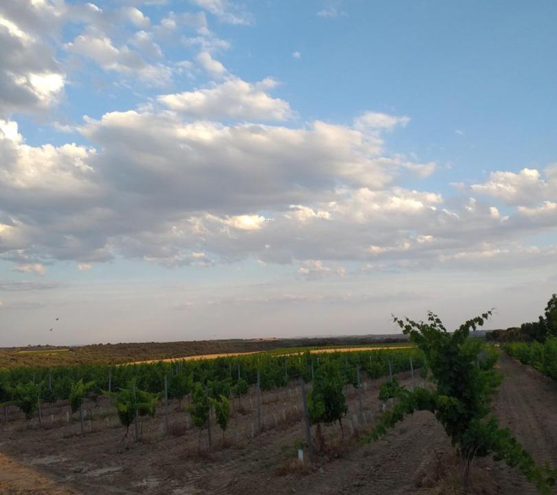 Photo of Outdoor in Salas Bajas