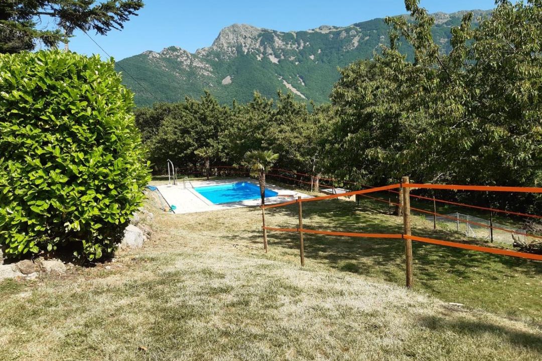 Photo of Others in Montseny