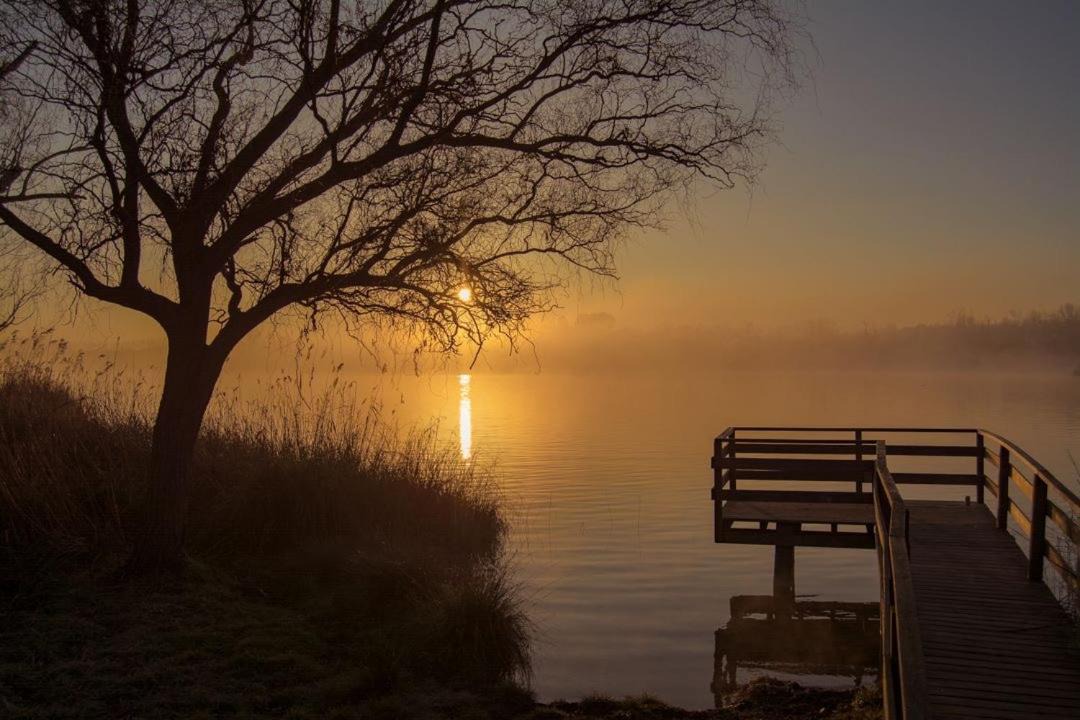 Photo of Others in Banyoles