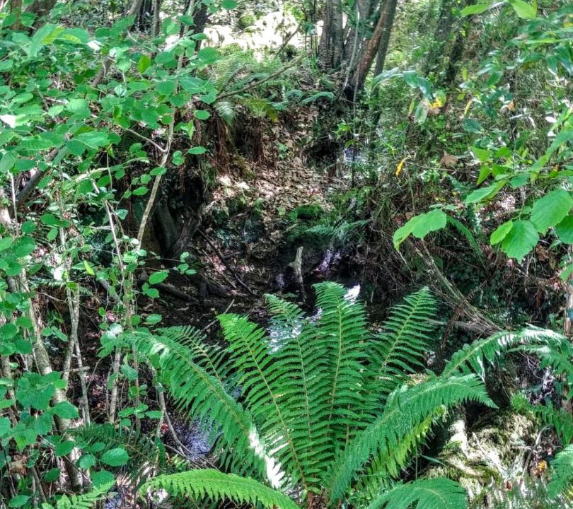 Photo of Outdoor in Novales