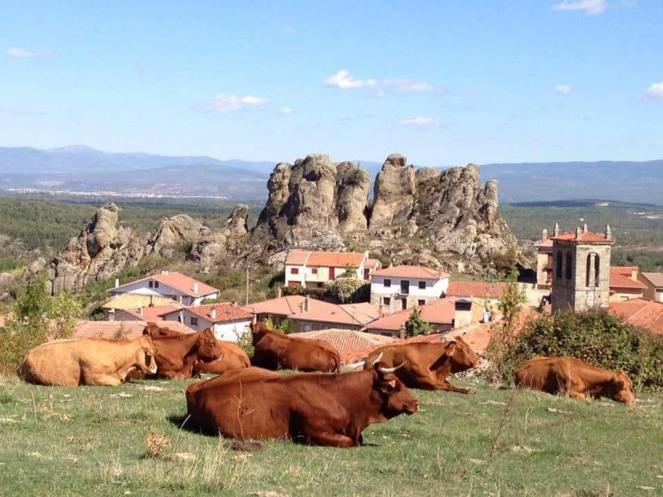 Photo of Others in Pinilla de los Barruecos
