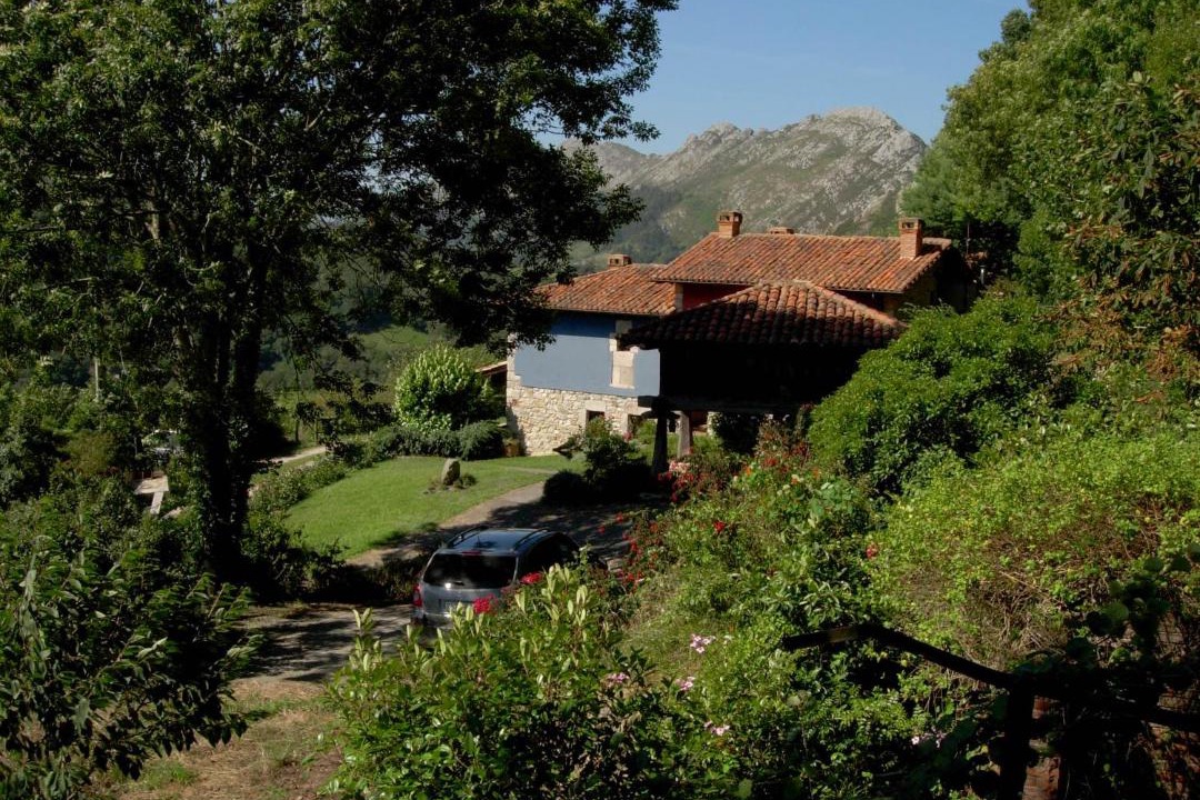 Photo of Others in Ribadesella