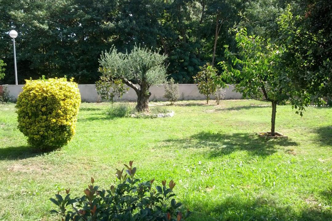 Photo of Others in Sant Esteve de Palautordera