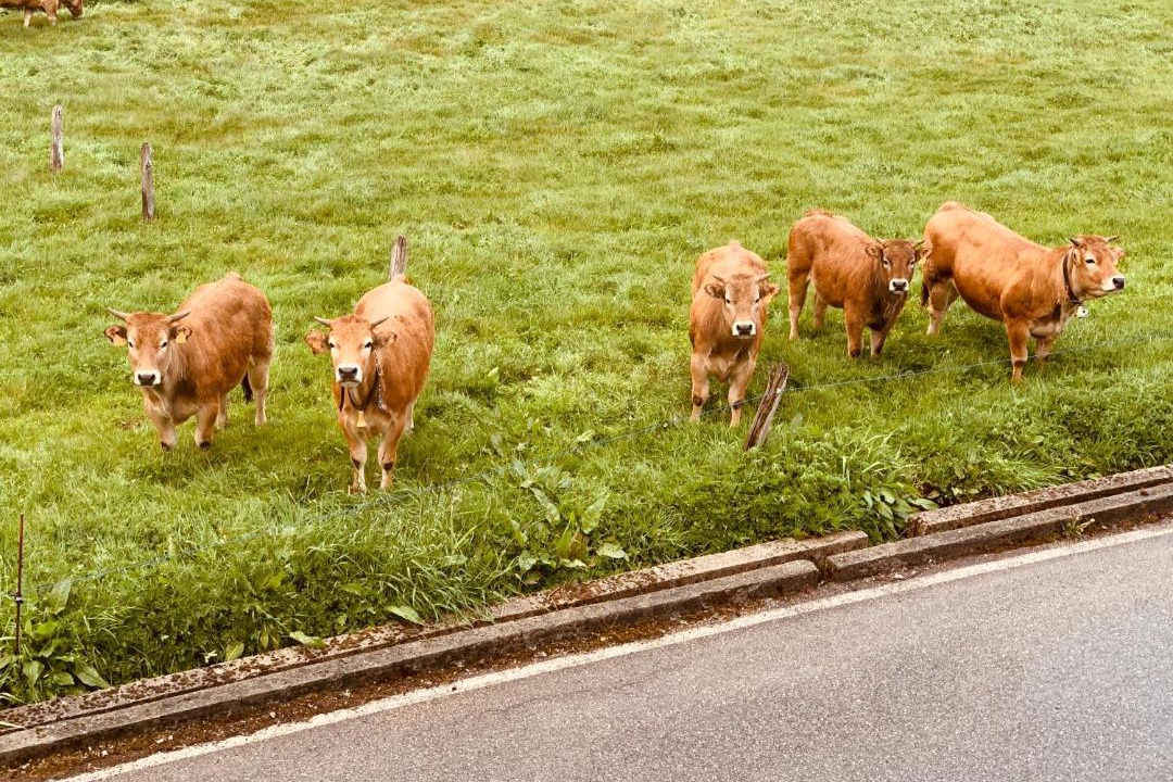 Photo of Others in Las Herrerias
