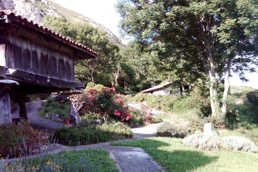 Photo of Buildings in Ribadesella