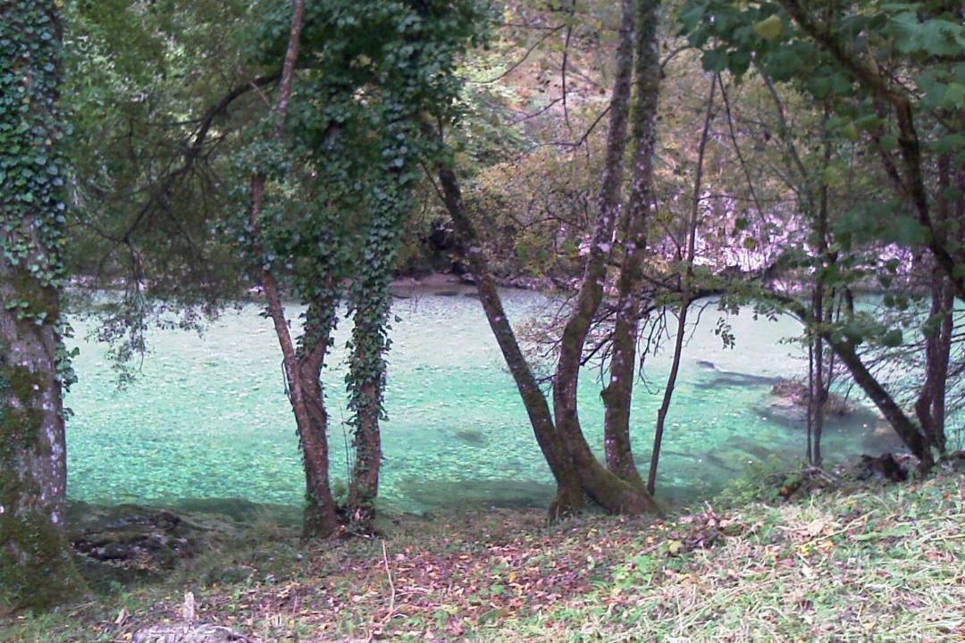 Photo of Others in Penamellera Alta