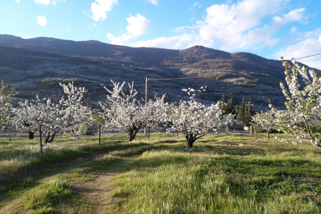 Photo of Others in Cabezuela del Valle