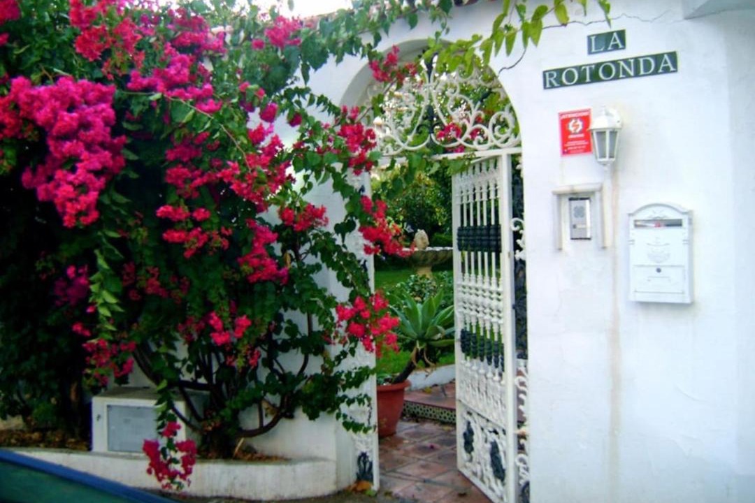 Photo of Others in Torreblanca