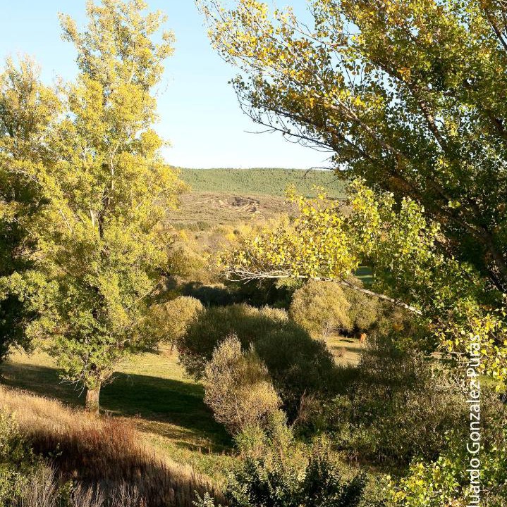 Photo of Others in Benllera