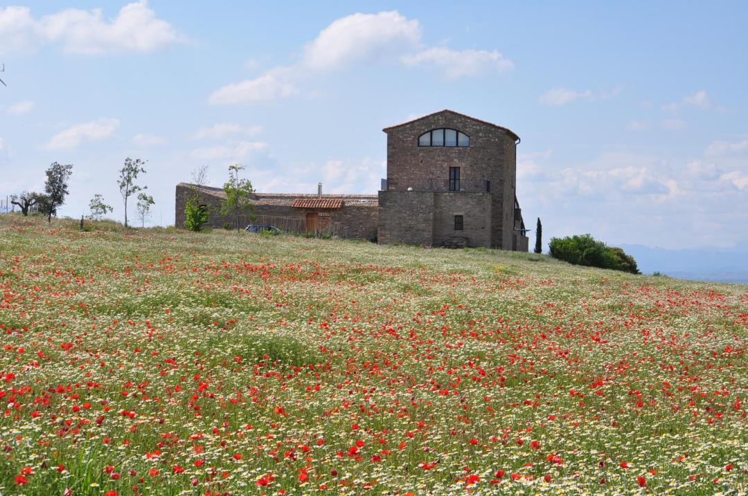 Photo of Buildings in Tarrega