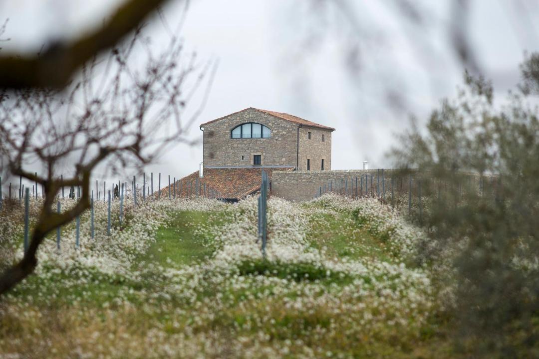 Photo of Buildings in Tarrega