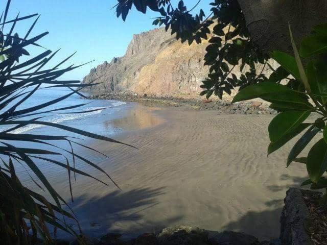 Photo of Others in Santa Cruz de Tenerife