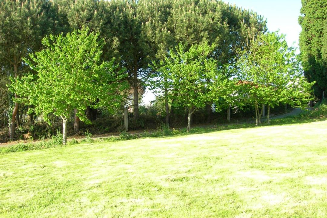 Photo of Outdoor in Crendes