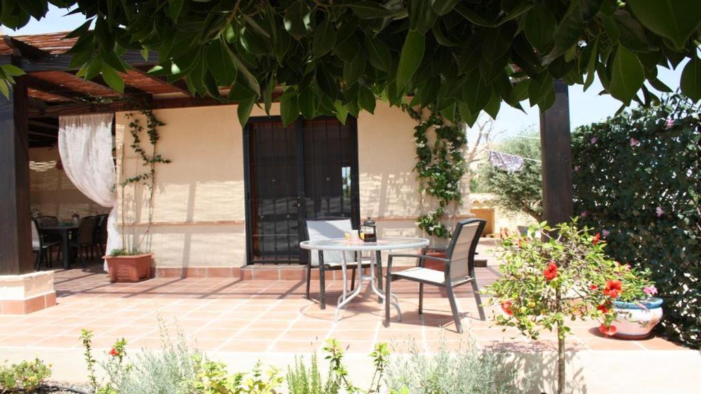 Photo of Patio Balcony in Hacienda del Alamo