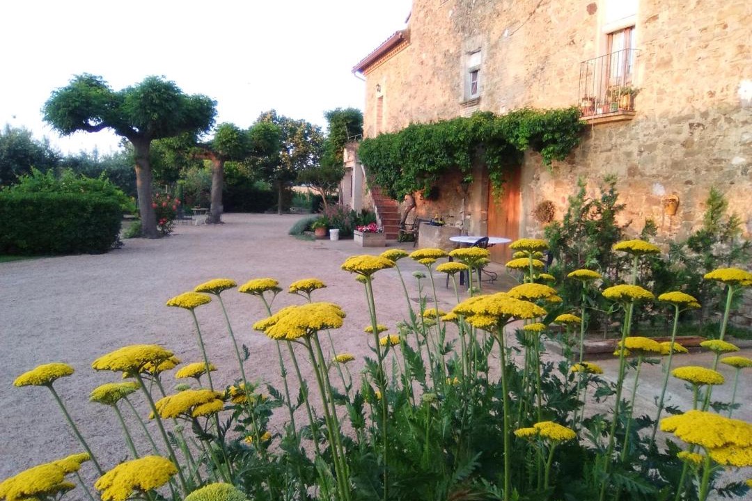 Photo of Others in Fonalleras