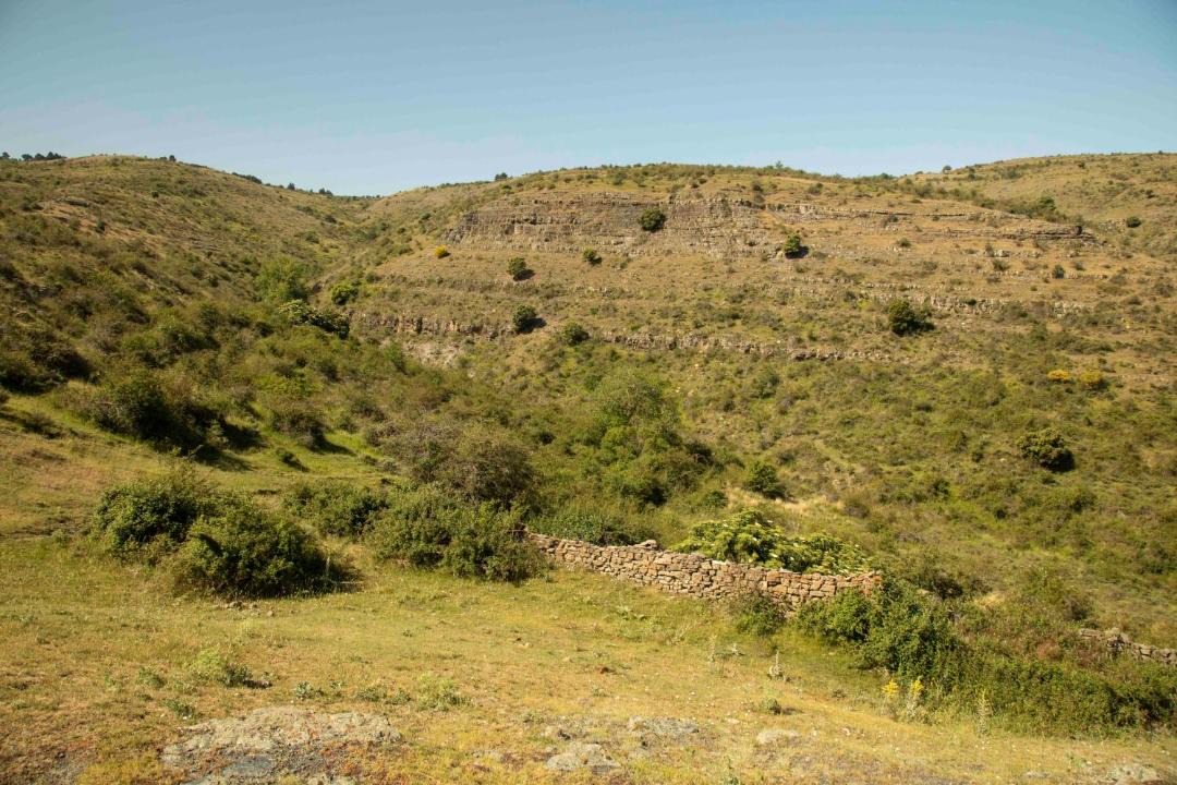 Photo of Others in Poyales