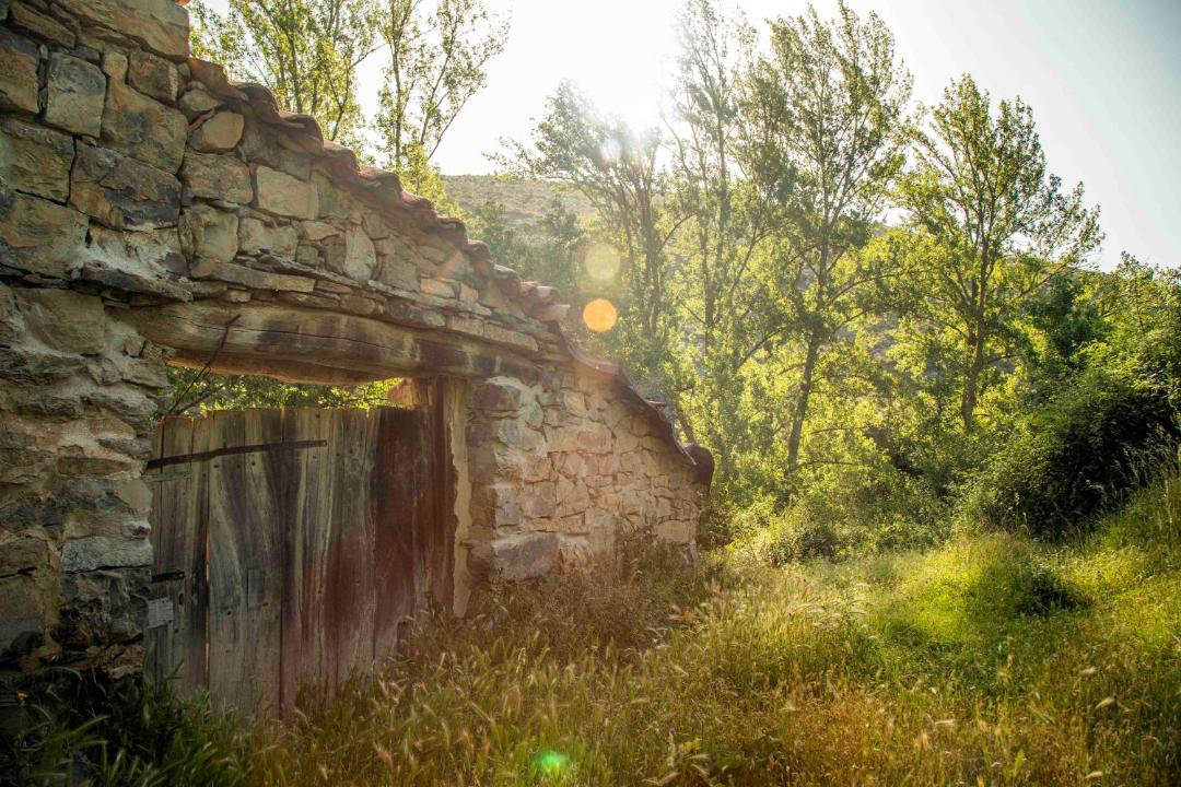 Photo of Others in Poyales