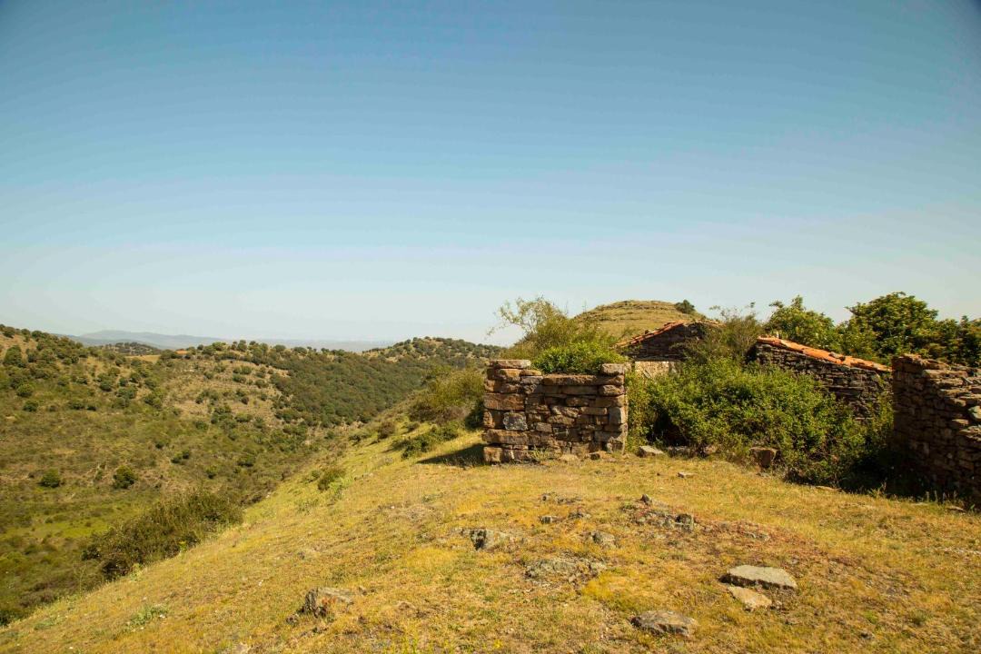 Photo of Others in Poyales