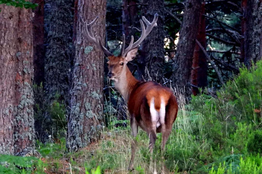 Photo of Others in El Rasillo de Cameros