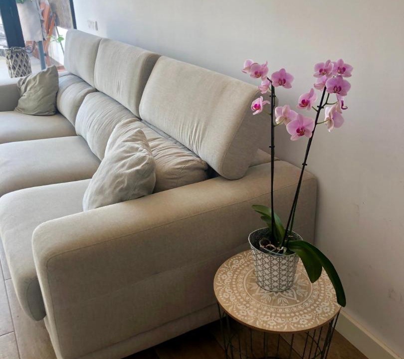 Photo of Livingroom in Vilassar de Mar