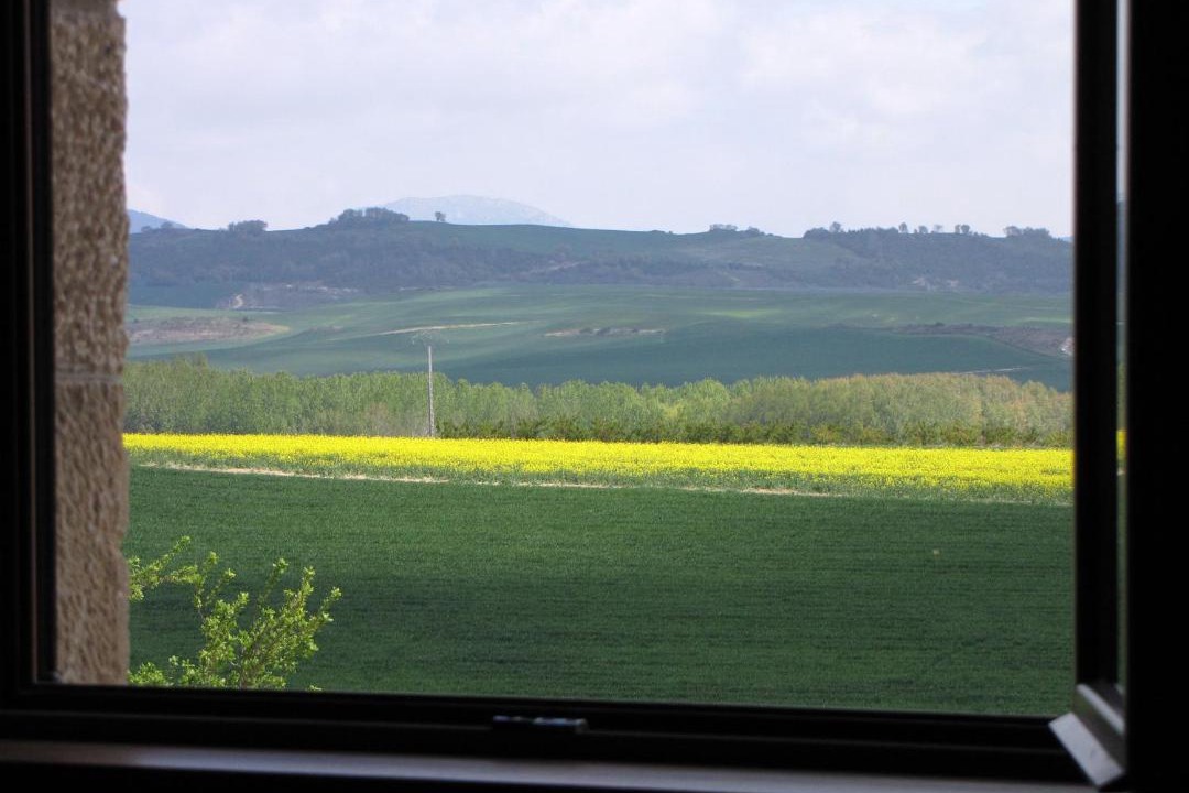 Photo of Others in Zabal