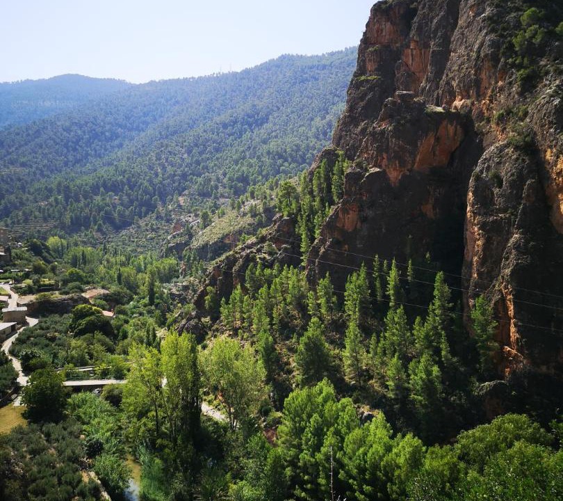 Photo of Others in Ayna