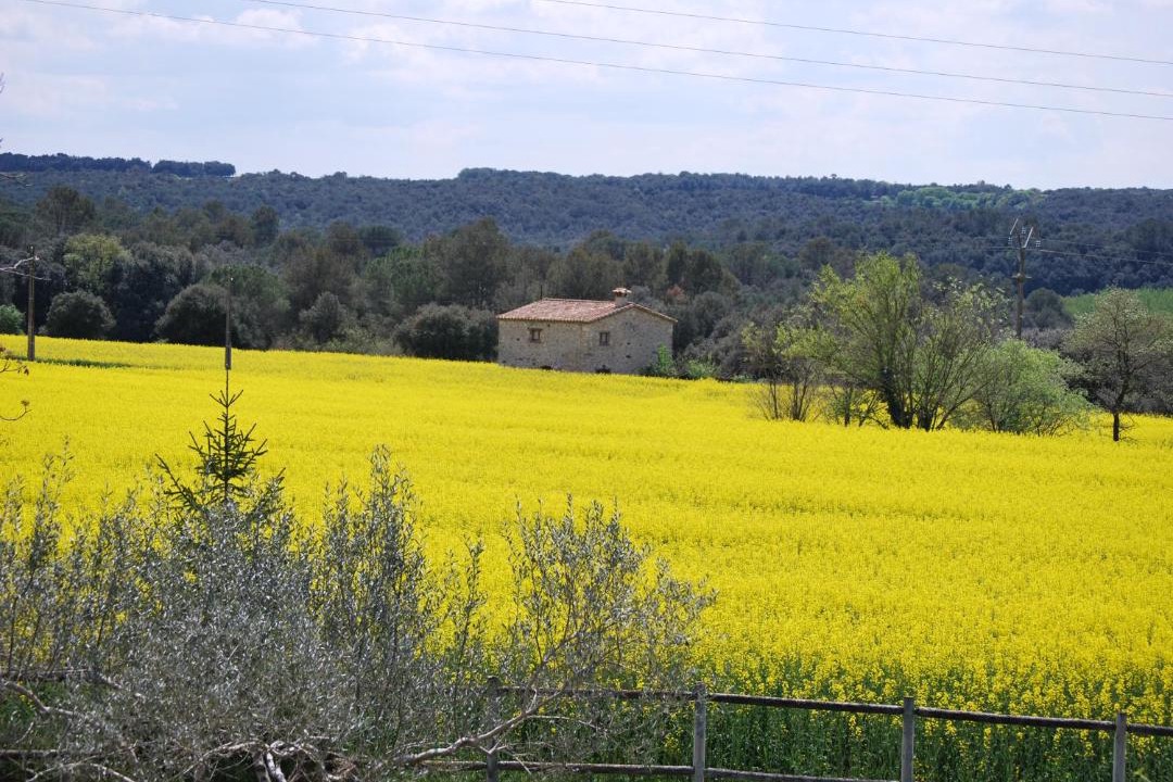 Photo of Outdoor in Maia de Montcal