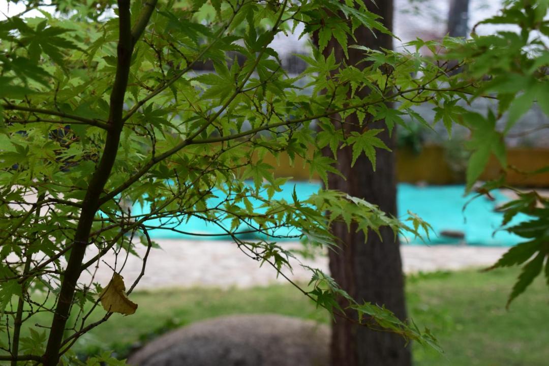 Photo of Outdoor in Zarzalejo
