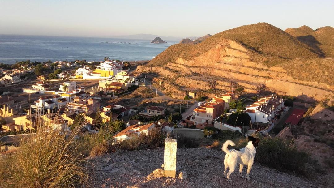Photo of Others in Calabardina
