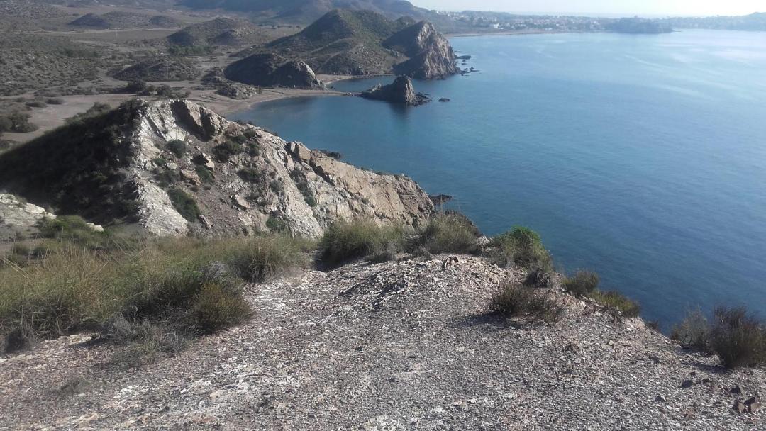 Photo of Others in Calabardina