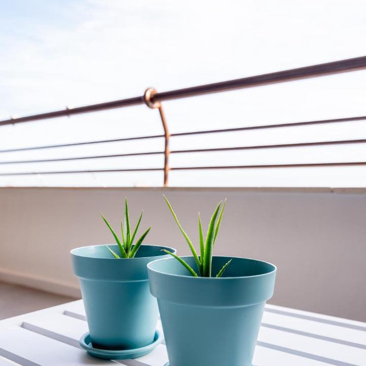 Photo of Patio Balcony in L'Albufereta