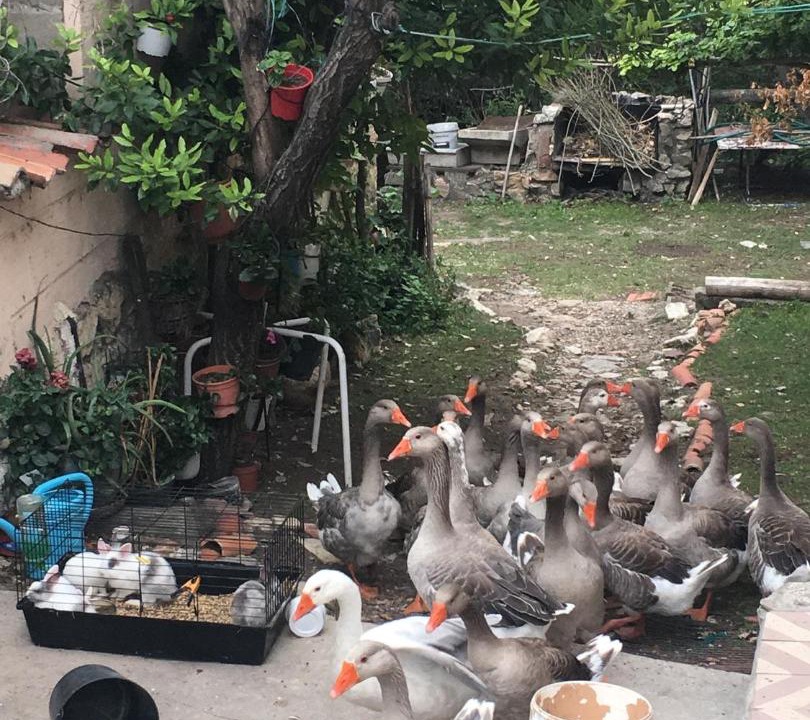 Photo of Others in Burgomillodo