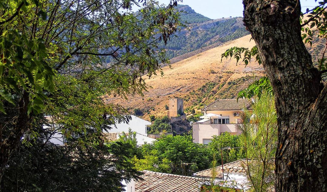 Photo of Others in Cazorla