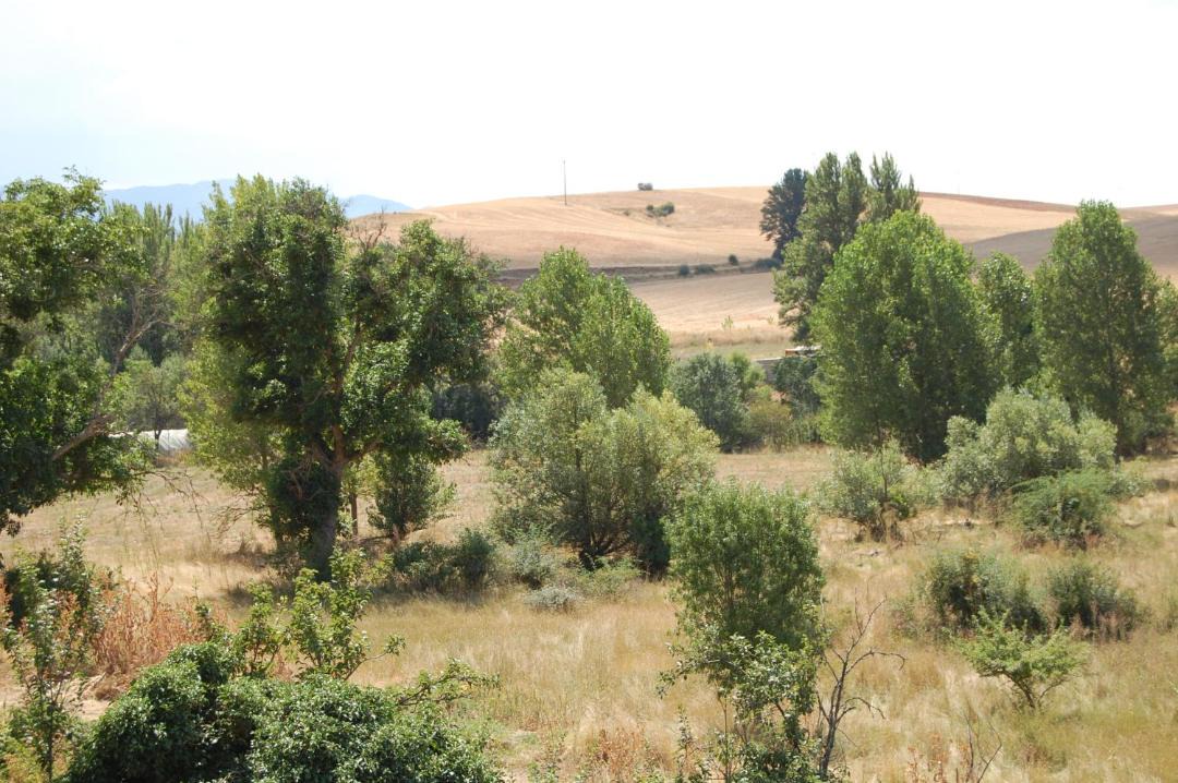 Photo of Outdoor in Ayllon