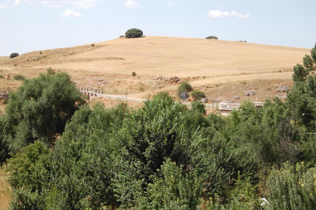 Photo of Others in Ayllon
