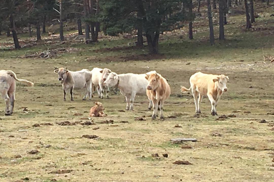 Photo of Others in Lumbreras