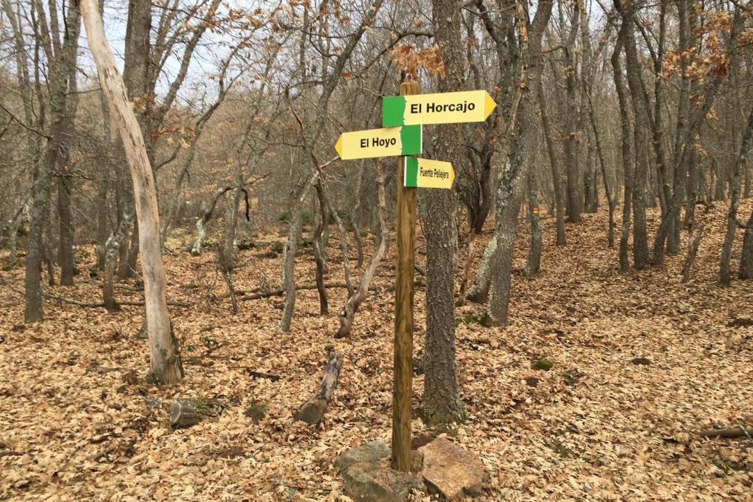 Photo of Others in Lumbreras