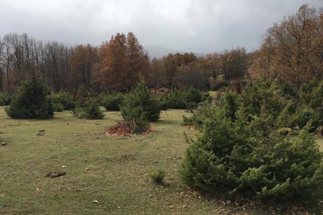 Photo of Outdoor in Lumbreras