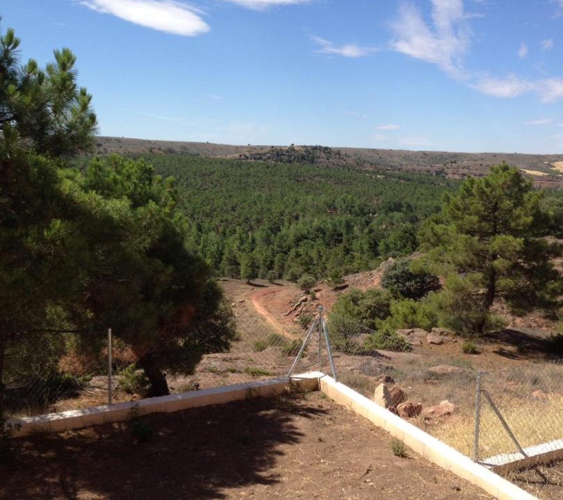 Photo of Others in Siguenza