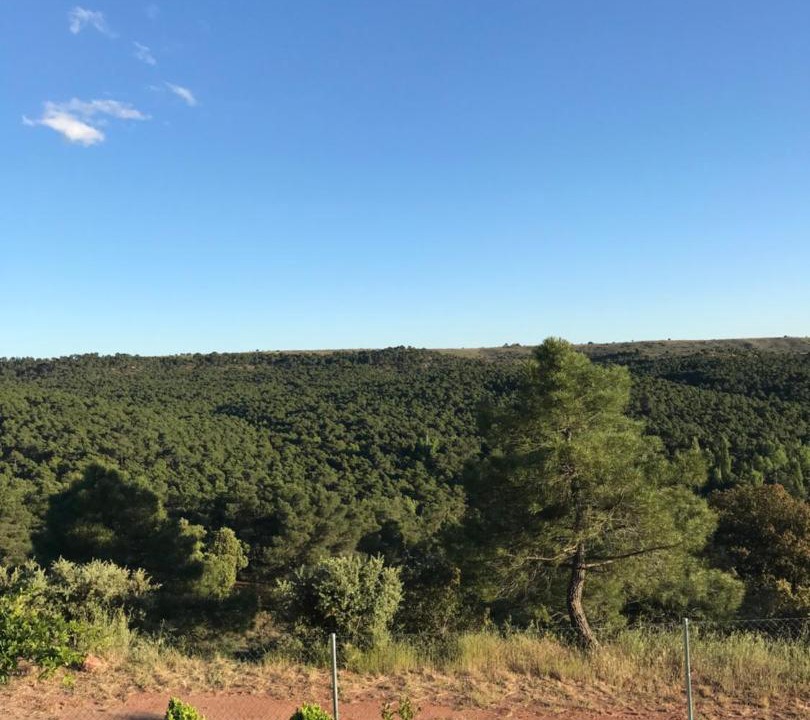Photo of Others in Siguenza