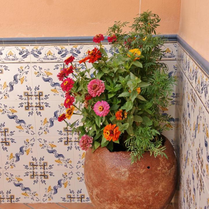 Photo of Others in Fuente de Cantos