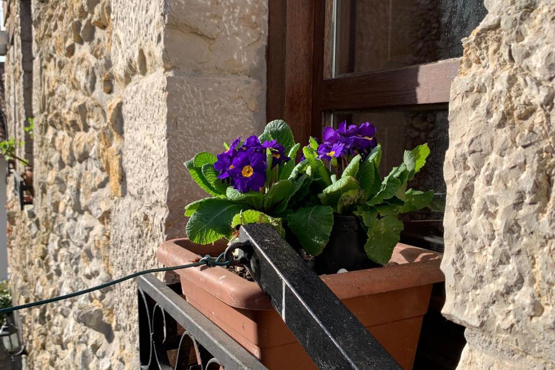 Photo of Patio Balcony in Serdio