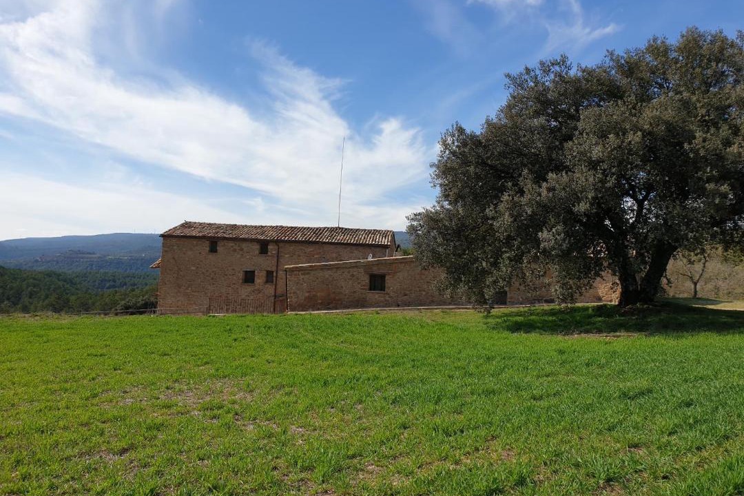 Photo of Others in La Baronia de Rialb