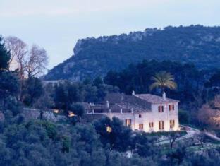 Photo of Others in Valldemossa